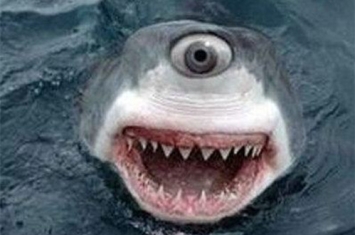 独眼鲨鱼真的存在吗，究竟是基因变异还是先天性缺陷？