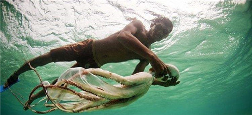印尼章鱼人是真的吗，长什么样？关于章鱼人的传说和真相