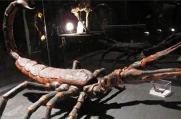 布龙度蝎子：曾经的霸主，体长3米，恐龙都不是它的对手