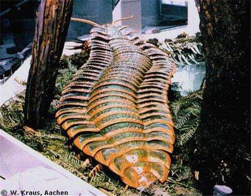 巨型马陆又名千足虫，3米多长有上千条腿是史上最恐怖的虫子