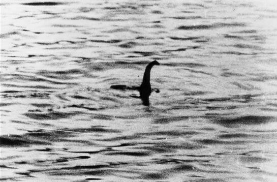 尼斯湖水怪真的存在吗，是一种未知生物还是传说故事