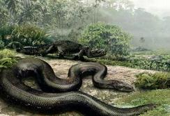 地球史上最大的蛇，塞雷洪泰坦蟒(长达15米/天下无敌)
