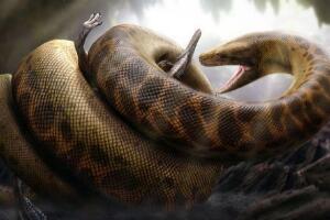 人类已知最大的蛇类，史前塞雷洪泰坦蟒长15米(图片)