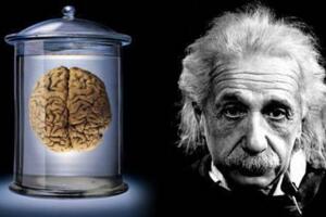 人类史上最强大脑，爱因斯坦的大脑(被偷走并切成240块)
