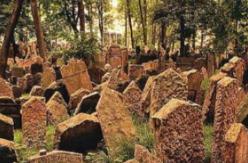 全球29个最恐怖的禁忌之地，旧犹太墓园12000座墓阴森之极