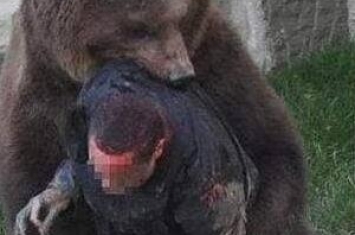 河南野生动物园熊吃人，内脏被掏出营救专家不敢靠近