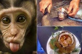 解读生吃猴脑过程照片，活猴头被灌热油脑髓被挖出食用