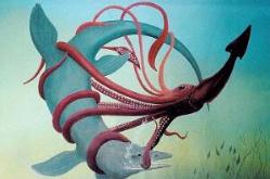 世界上最大的章鱼，北太平洋巨型章鱼能轻松干掉一头鲨鱼