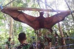 世界上最大的蝙蝠有多大，马来大狐蝠翼展两米比人还大
