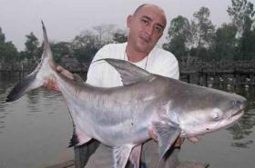 成吉思汗鱼灭绝了吗，身长3米以肉食为主/频临灭绝