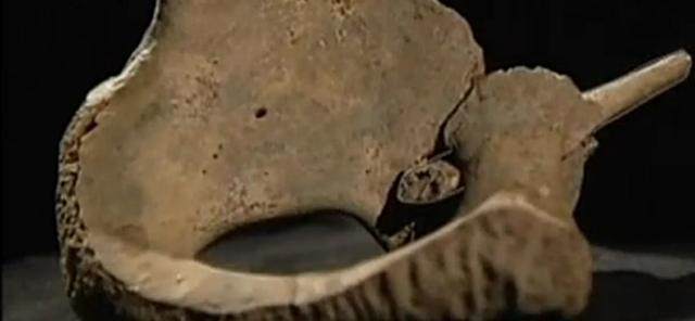 七千年前的“零口姑娘”究竟是怎么死的?