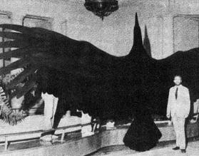 阿根廷巨鸟，双翼展开如同一架小型飞机(长7米)