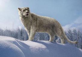 残暴狮，冰河时代生存最大猫科动物之一