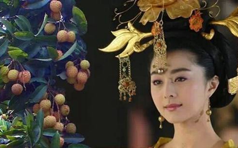 历史上的杨玉环杨贵妃吃荔枝为什么会被后人骂?