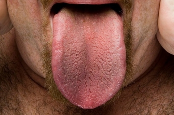 世界最长的舌头