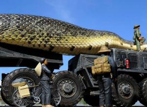世界上最凶猛的蛇，红海巨蛇杀320游客125潜水员(杜撰)