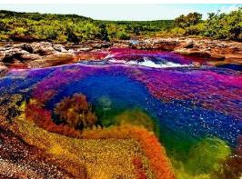 彩虹河，哥伦比亚美景河流一年仅出现一次