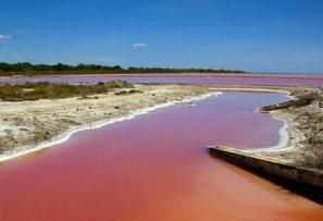 世界上颜色最恐怖的湖，法国血水湖(满湖鲜血超吓人)