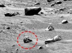 揭秘火星人头骨之谜，火星远古文明的尸骸（专家称是石头）