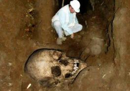 巨人骸骨是真的吗，中国发现65米巨人骸骨(巨人真的存在)