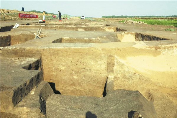 高青小清河考古发现唐代“马蹄形”墓室