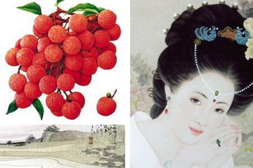 唐朝时期杨贵妃最爱的妃子笑来自哪里?