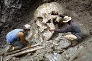 世界第一巨人竟高5米，史前巨人遗骸现世牙齿堪比大拇指