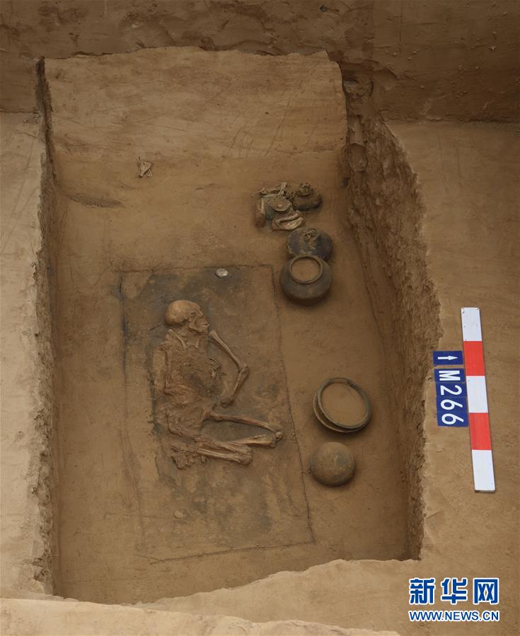 河南发现大型古墓群 出土文物2000余件