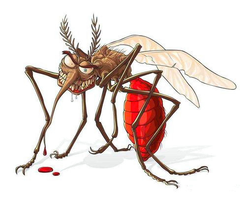 人类和蚊子的战争历史