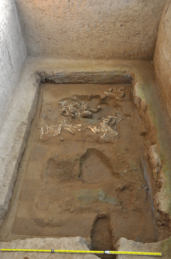 秦始皇帝陵考古的新进展——秦始皇帝陵陵西墓葬勘探与发掘取得重要收获