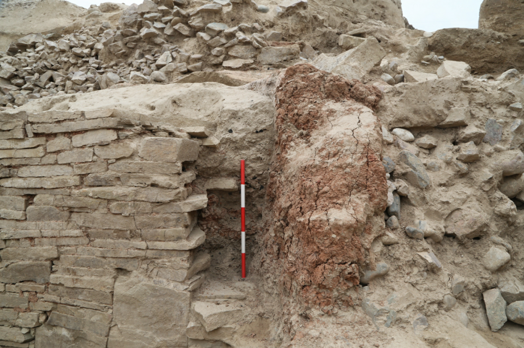 新疆伊犁发现青铜时代大型高等级贵族墓葬
