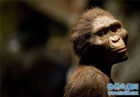 最早的人类，南方古猿曾经出现于5500000～1300000年之前！