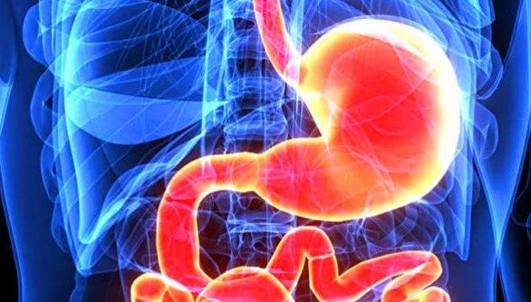 人体消化道中最长的器官是哪里？第一名末端回肠管腔仅1.0-1.2cm
