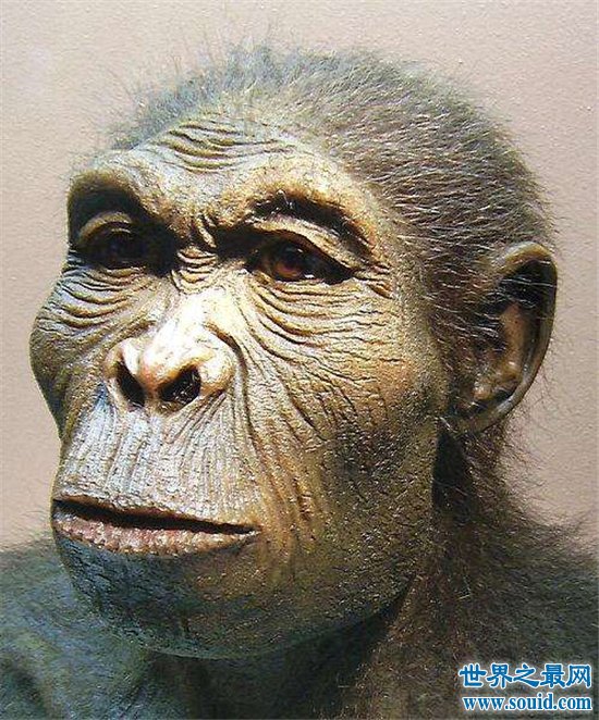 中国境内最早的人类，元谋人源于1700000年前！