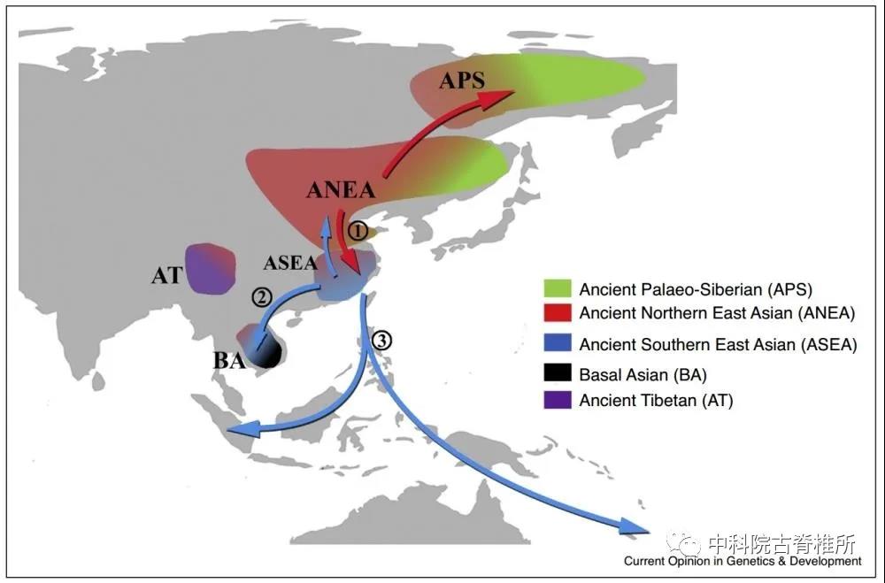 古DNA洞察欧亚大陆东部现代人演化历史