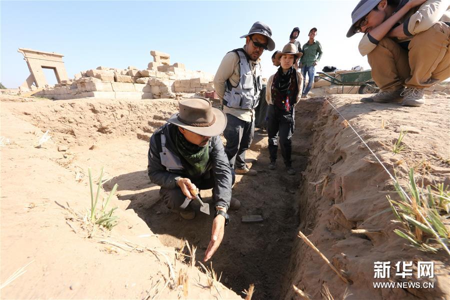 疫中考古——中国与埃及首次联合考古取得阶段性成果