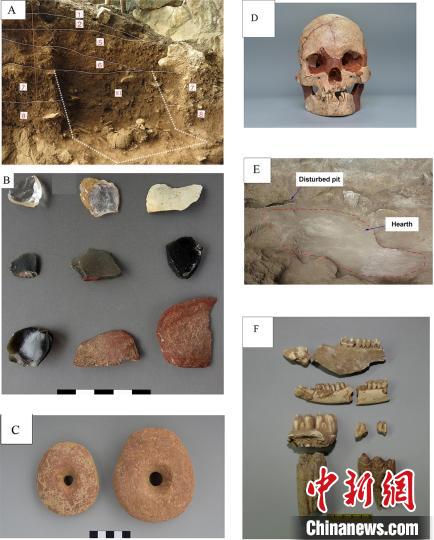 中国学者在广西研究发现1.6万年前稻属植硅体
