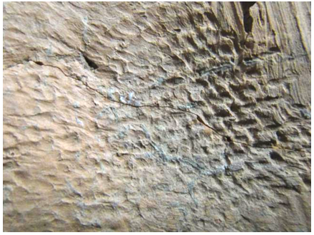 河南渑池丁村仰韶文化遗址发现平纹布印痕
