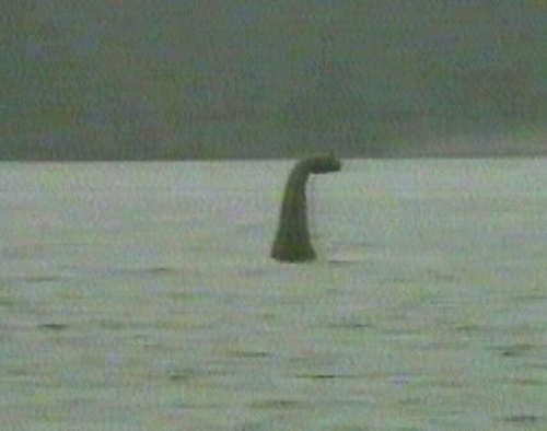 尼斯湖水怪存在的一些主要证据