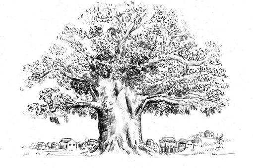 古代官员自杀为什么要选槐树?有哪些原因?