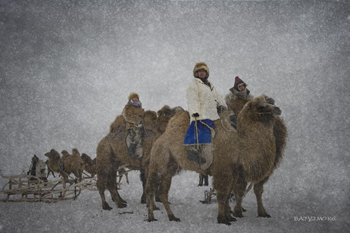 北方游牧民族可汗的即位仪式是什么样的揭秘
