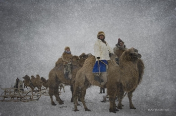 北方游牧民族可汗的即位仪式是什么样的揭秘