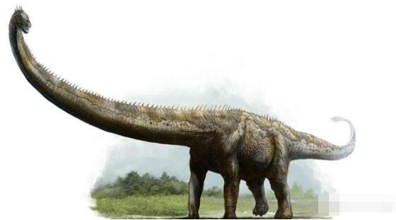历史上最大的动物有多大？盘点不同地质时期的巨型动物