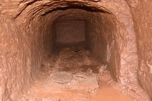 湖南益阳大海塘墓群新发现土坑洞室墓