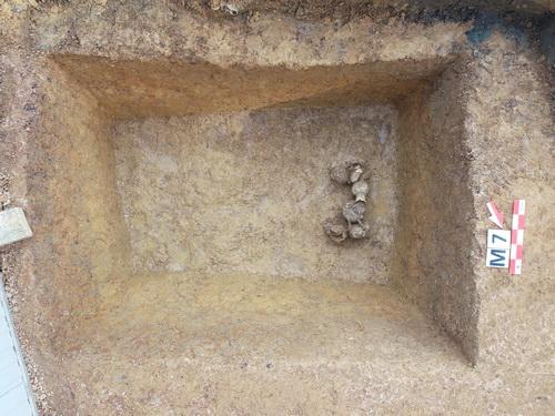 湖南汉寿县核拓普二期项目考古发掘收获