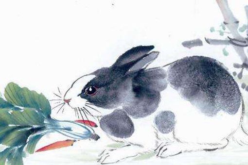 十二生肖属兔的历史传说是什么?