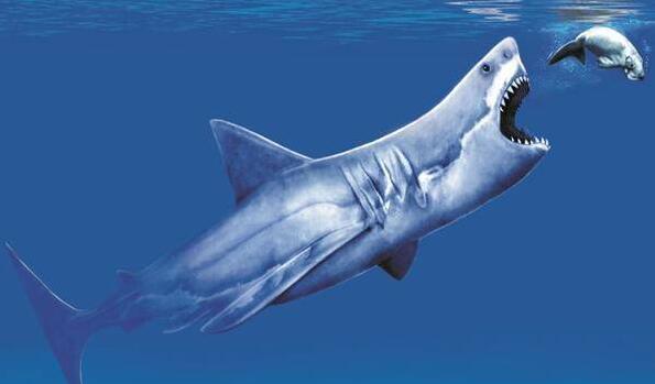 已灭绝的鲨鱼有哪些？世界上已灭绝的十大鲨鱼排名