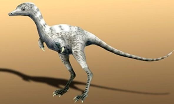 最弱的恐龙是什么龙？世界上最不厉害的恐龙十大排名