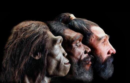 人类是怎么进化而来的？人类直系祖先或许来自海洋