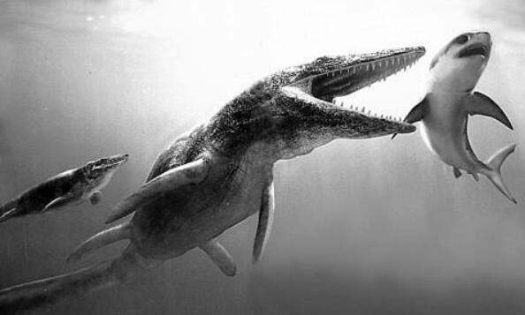 水中的恐龙有哪些？生活在水中的恐龙十大排名